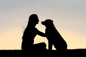 Fotolia_64517859_M_web